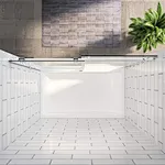 shower door
